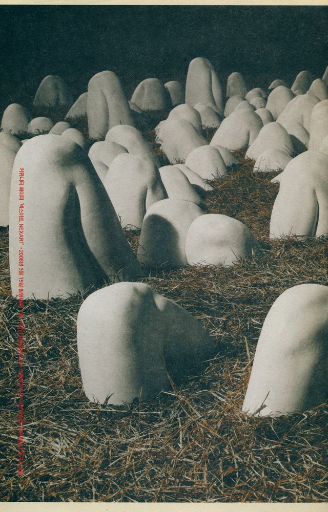 『NEXART』  2006 03 3
