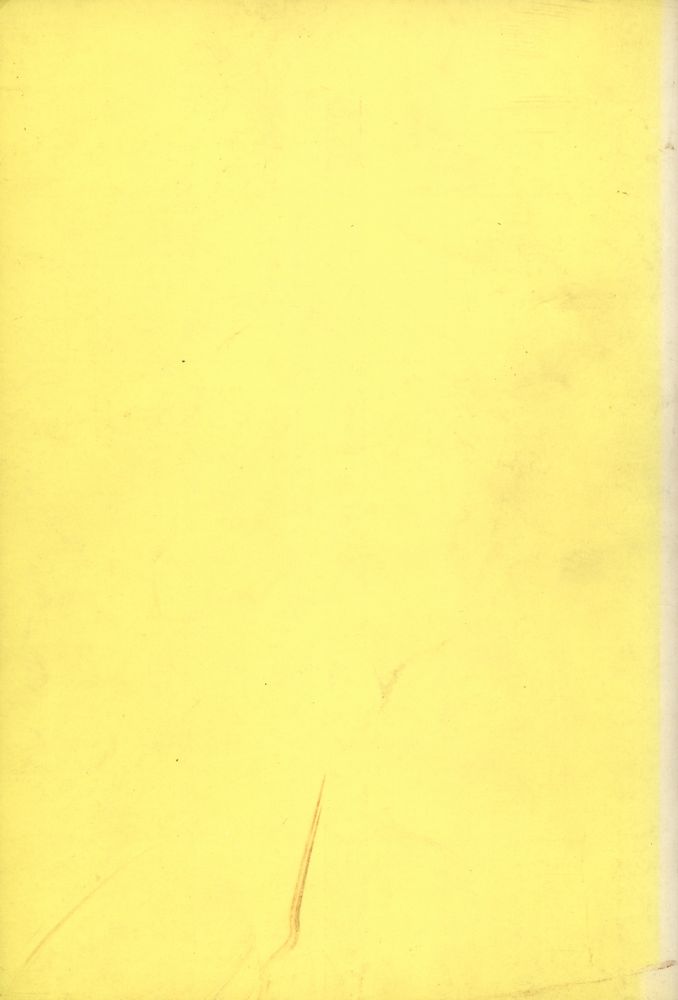 『Modern Culture and Critical Theory : Art, Politics, and the Legacy of the Frankfurt School』 3