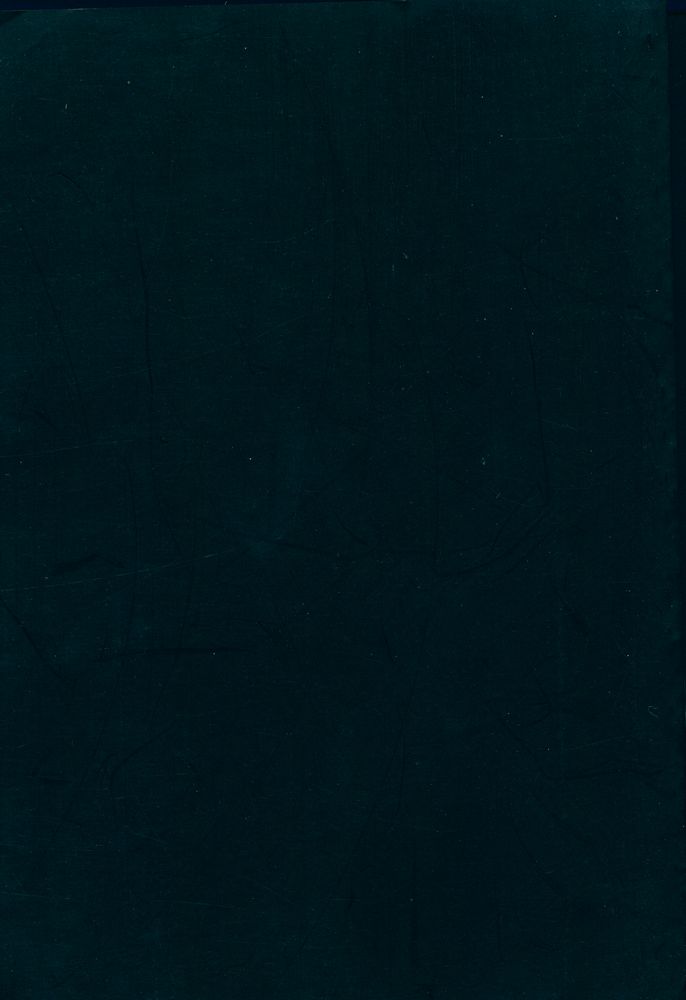 『Global/local : cultural production and the transnational imaginary』 4