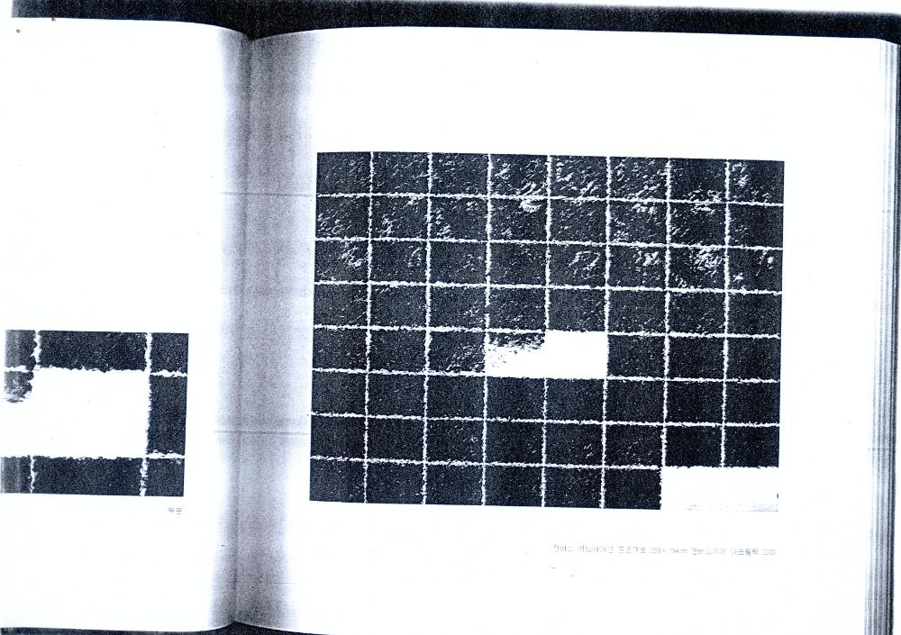2002년 《그리드를 넘어서》 도록 일부