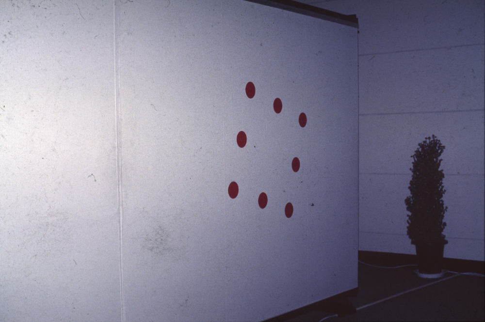 1998년 서울시립미술관 《'98 도시와 영상-의식주》 전시전경 사진 필름