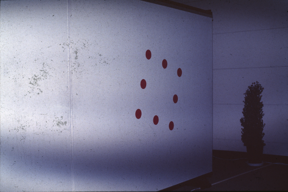 1998년 서울시립미술관 《'98 도시와 영상-의식주》 전시전경 사진 필름