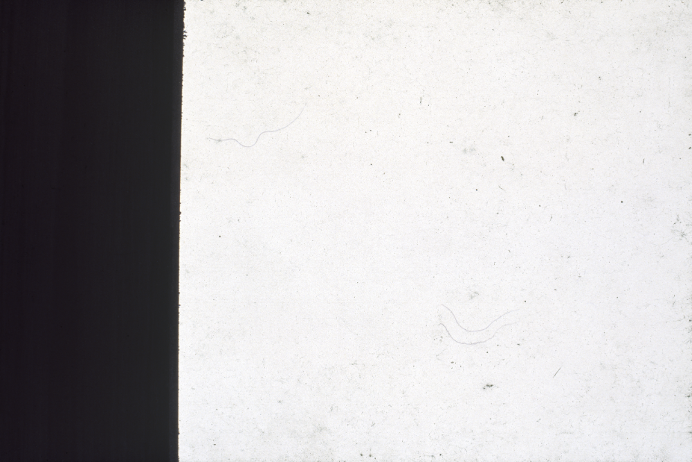 1994년부터 1996년까지 〈가까이...더 가까이...〉 작품 슬라이드 필름 앨범