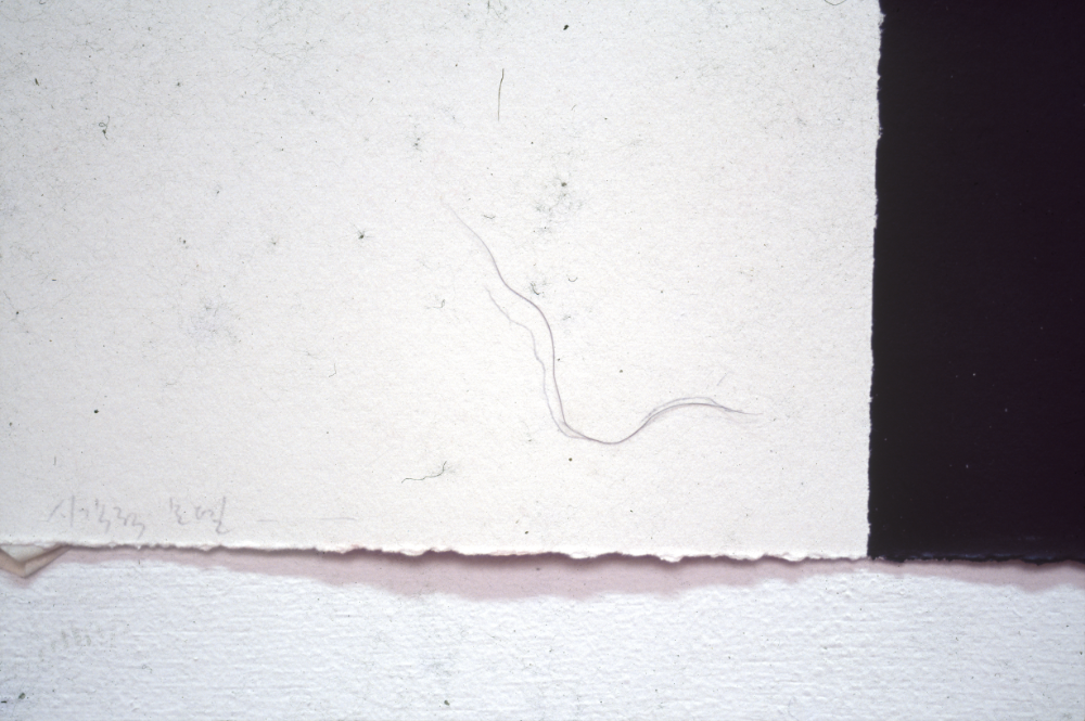 1994년부터 1996년까지 〈가까이...더 가까이...〉 작품 슬라이드 필름 앨범