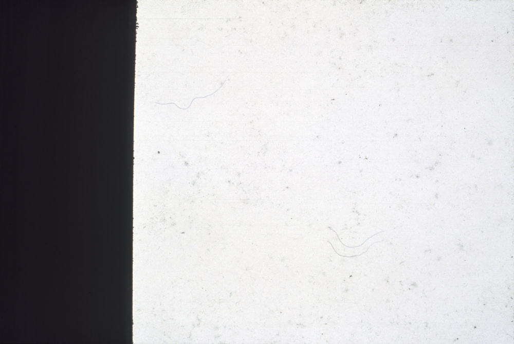 1994년부터 1996년까지 〈가까이...더 가까이...〉 작품 슬라이드 필름 앨범