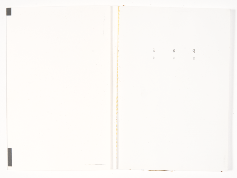 〈Drawing with Plant in Dessau〉 2