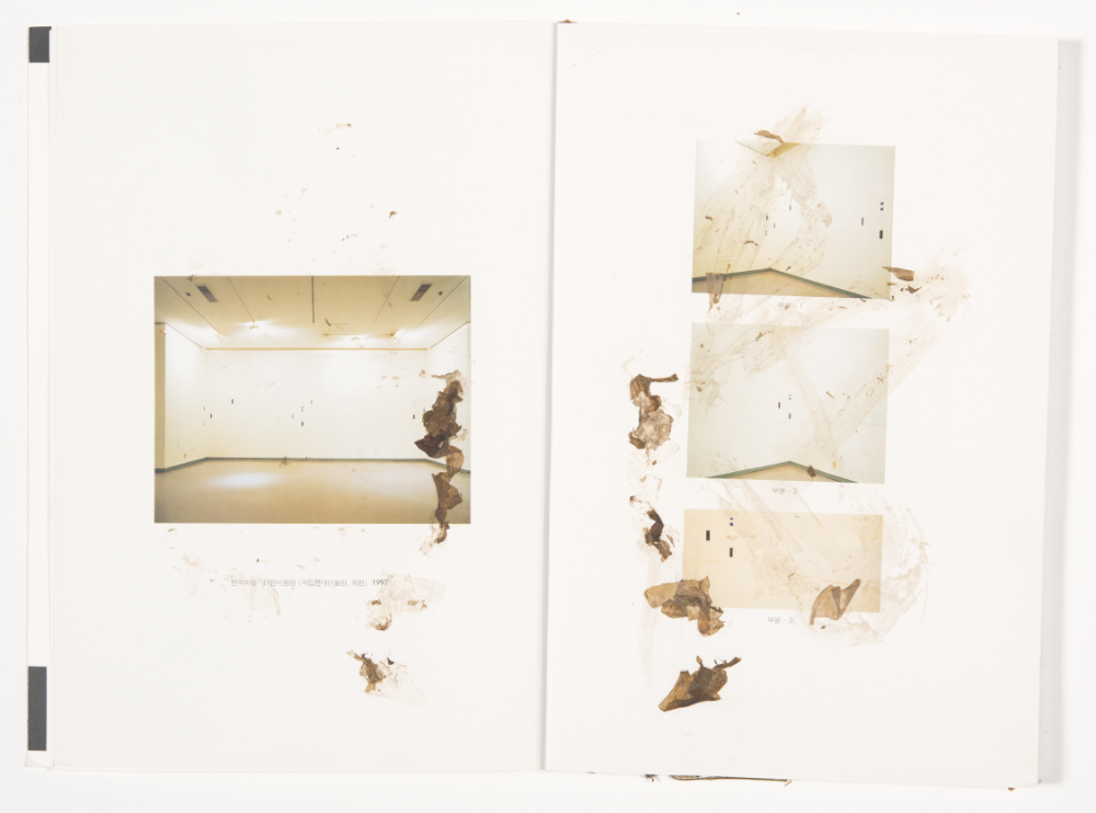 〈Drawing with Plant in Dessau〉 4