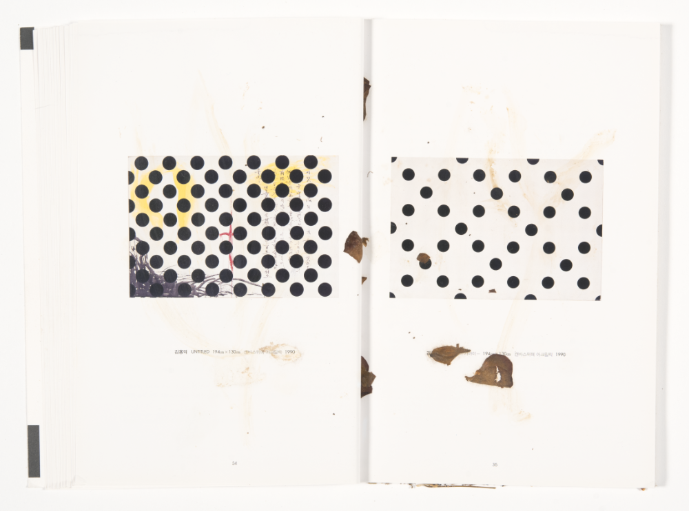 〈Drawing with Plant in Dessau〉