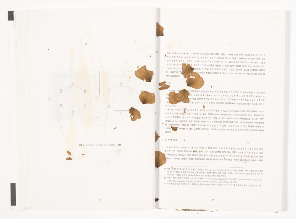 〈Drawing with Plant in Dessau〉