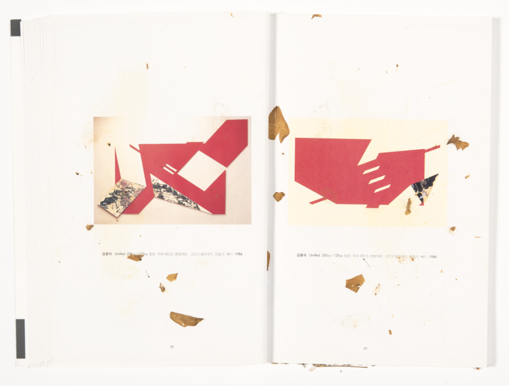 〈Drawing with Plant in Dessau〉