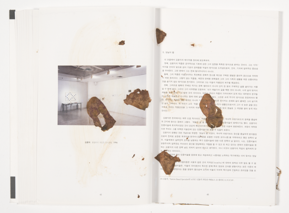 〈Drawing with Plant in Dessau〉