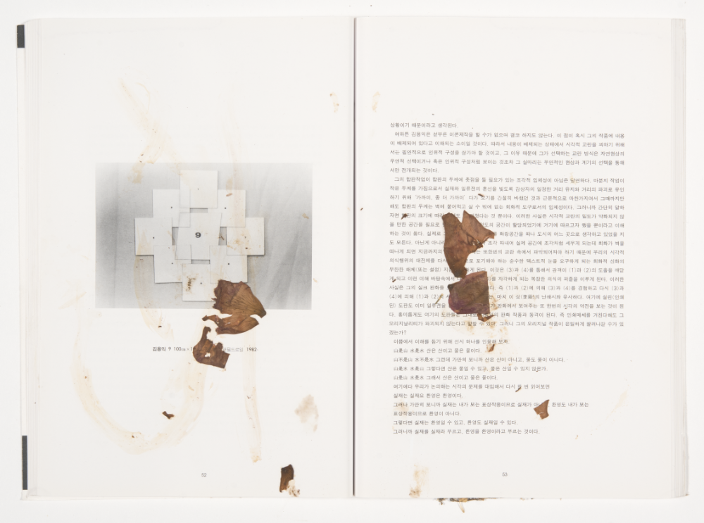 〈Drawing with Plant in Dessau〉