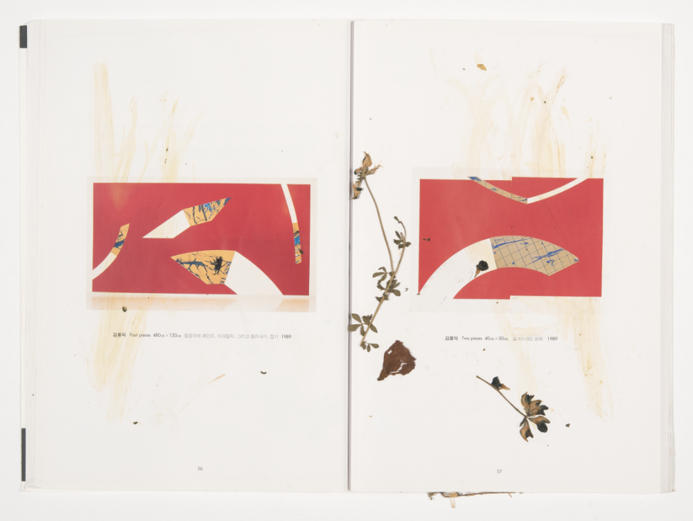 〈Drawing with Plant in Dessau〉