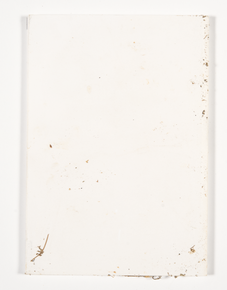 〈Drawing with Plant in Dessau〉