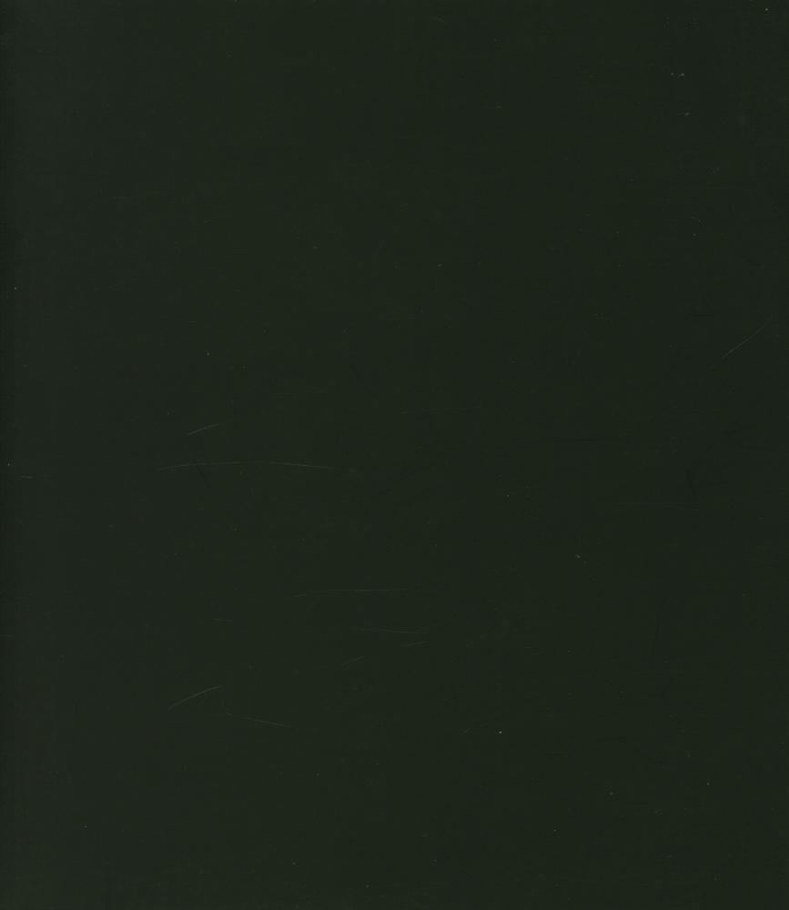 《ROBERT FRANK BLACK WHITE AND THINGS》 3