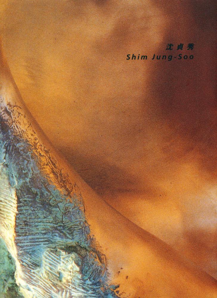 《沈貞秀(심정수)》 1