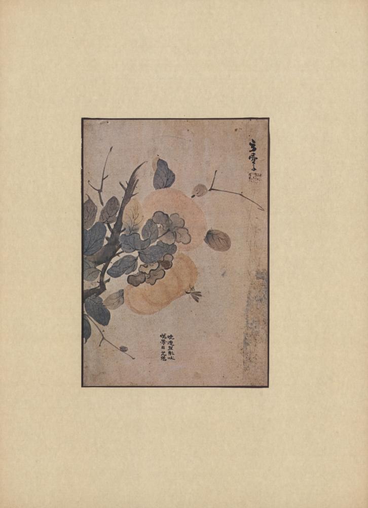 『韓國美術五千年 李朝会畫帖 : 李朝絵畫篇 4卷(한국미술오천년 이조회화첩 : 이조회화편 4권)』