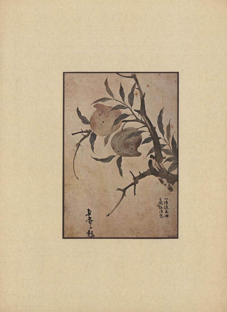 『韓國美術五千年 李朝会畫帖 : 李朝絵畫篇 4卷(한국미술오천년 이조회화첩 : 이조회화편 4권)』