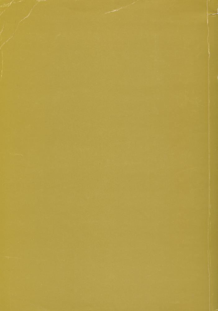 『不能承受的生命之轻』 5