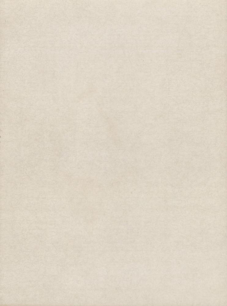 『5) 霧林情流(무림정류)』 4