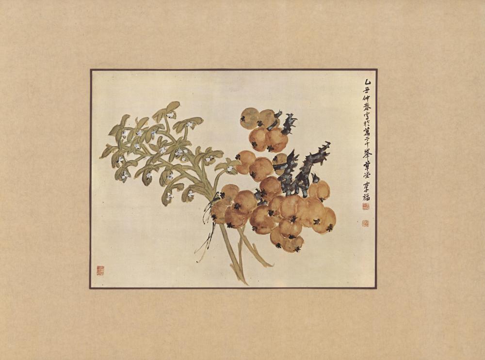 『16) 枇杷蘭花(비파란화)』 3