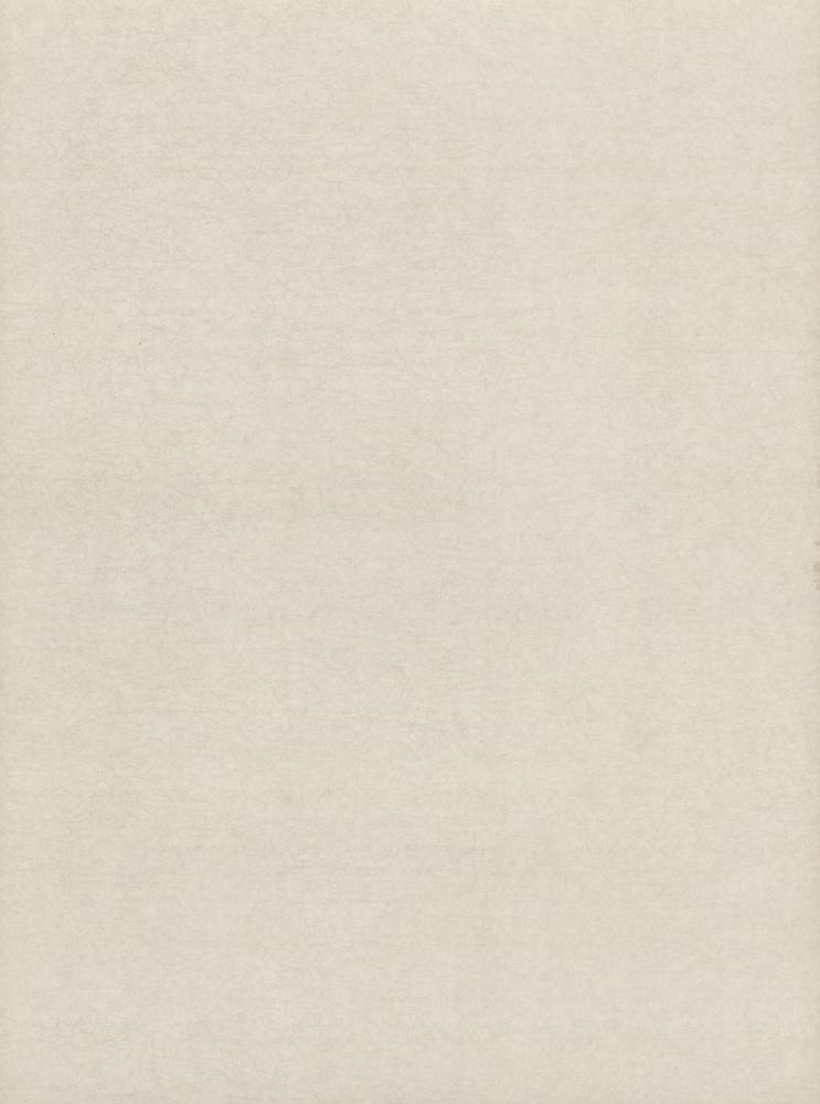 『16) 枇杷蘭花(비파란화)』 4