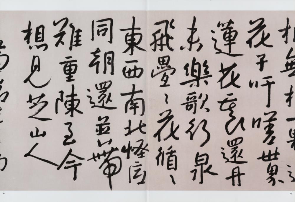 『八大山人 : 河上花圖卷』