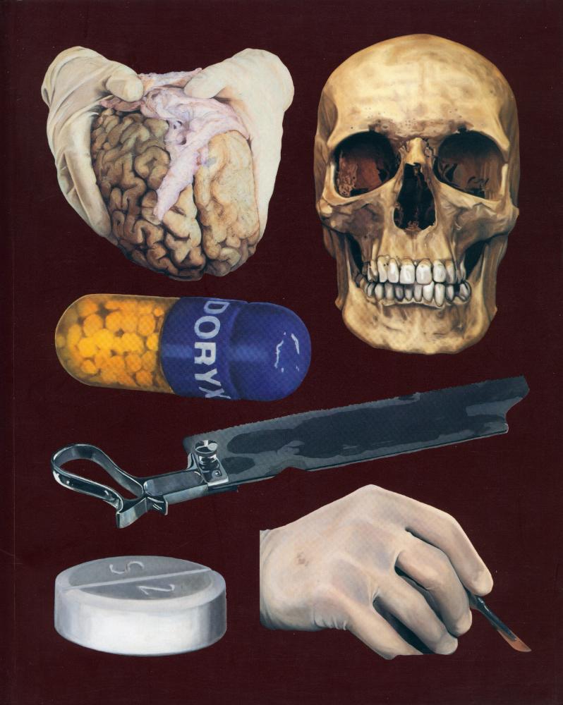 《Damien Hirst, The Elusive Truth》 도록 『Damien Hirst, The Elusive Truth : New Paintings』 1