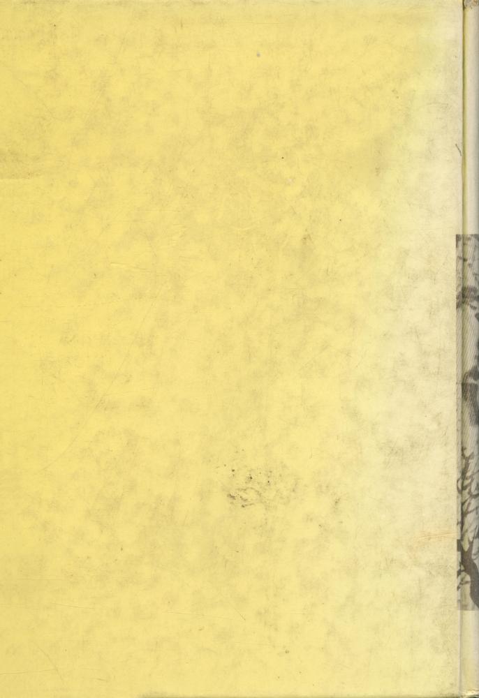 『韓國文學史(한국문학사)』 6