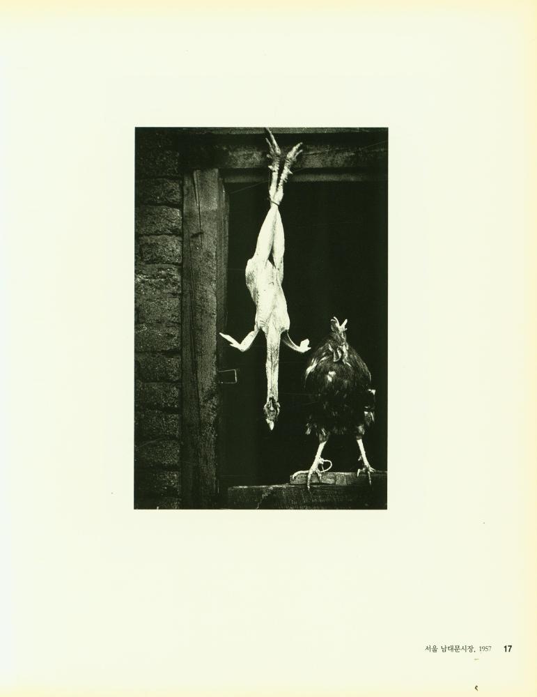『정범태 사진집 : 카메라와 함께한 반세기 1950 - 2000』 2
