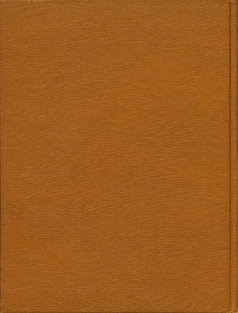 『Van Gogh le suicidé de la société』 3