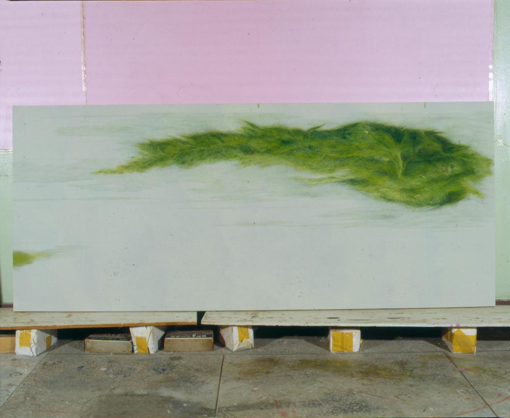 〈물풀〉(2001) 촬영필름 1