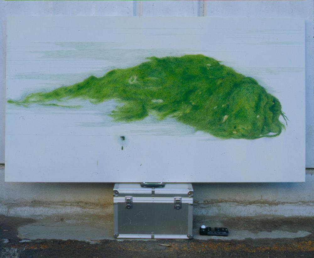 〈물풀〉(2001) 촬영필름 2