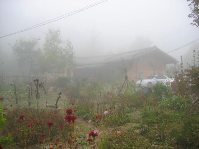 2004년부터 2005년까지 양평 자택 사진 파일