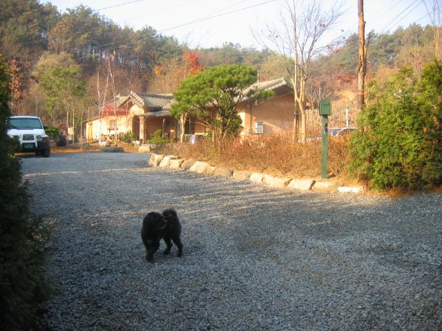 2004년부터 2005년까지 양평 자택 사진 파일
