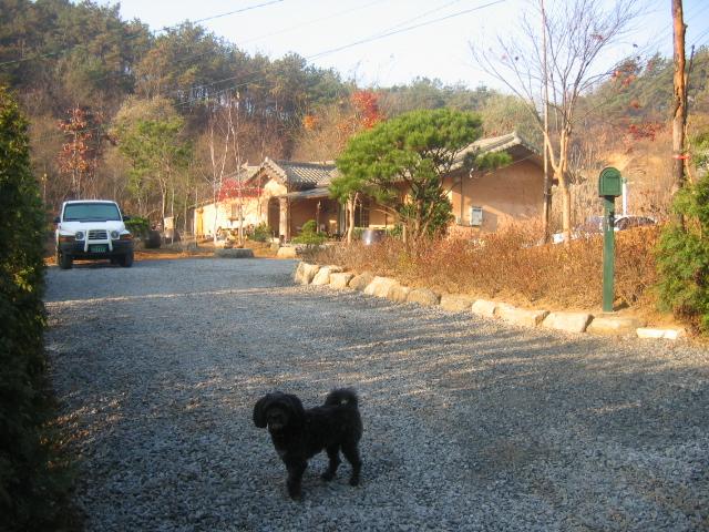 2004년부터 2005년까지 양평 자택 사진 파일