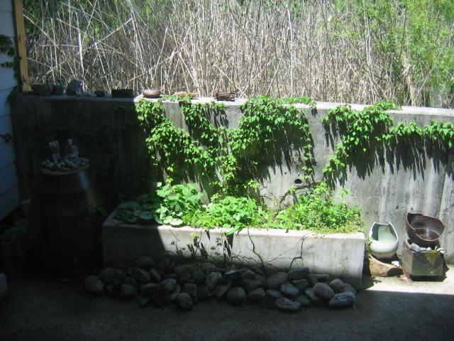 2004년부터 2005년까지 양평 자택 사진 파일
