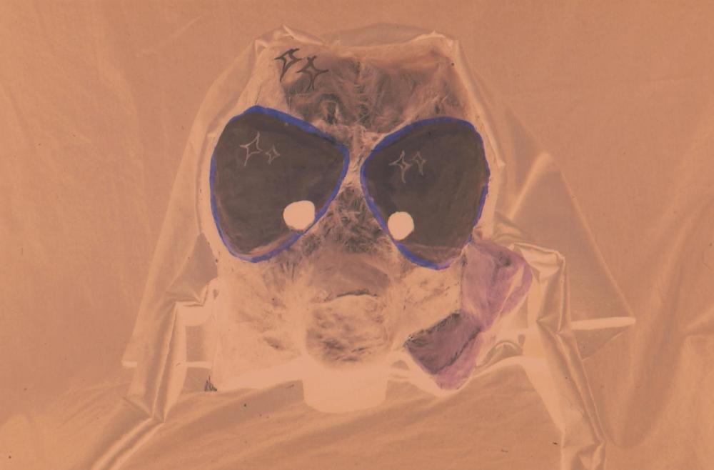 두렁 탈 촬영필름