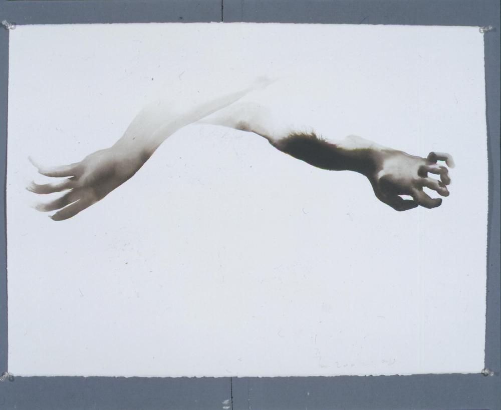 2002년, 2003년 경 《繪畵所見》 관련 드로잉 촬영필름 6