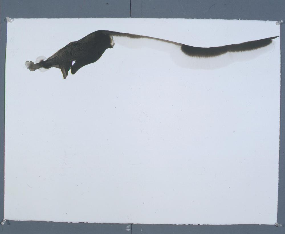 2002년, 2003년 경 《繪畵所見》 관련 드로잉 촬영필름